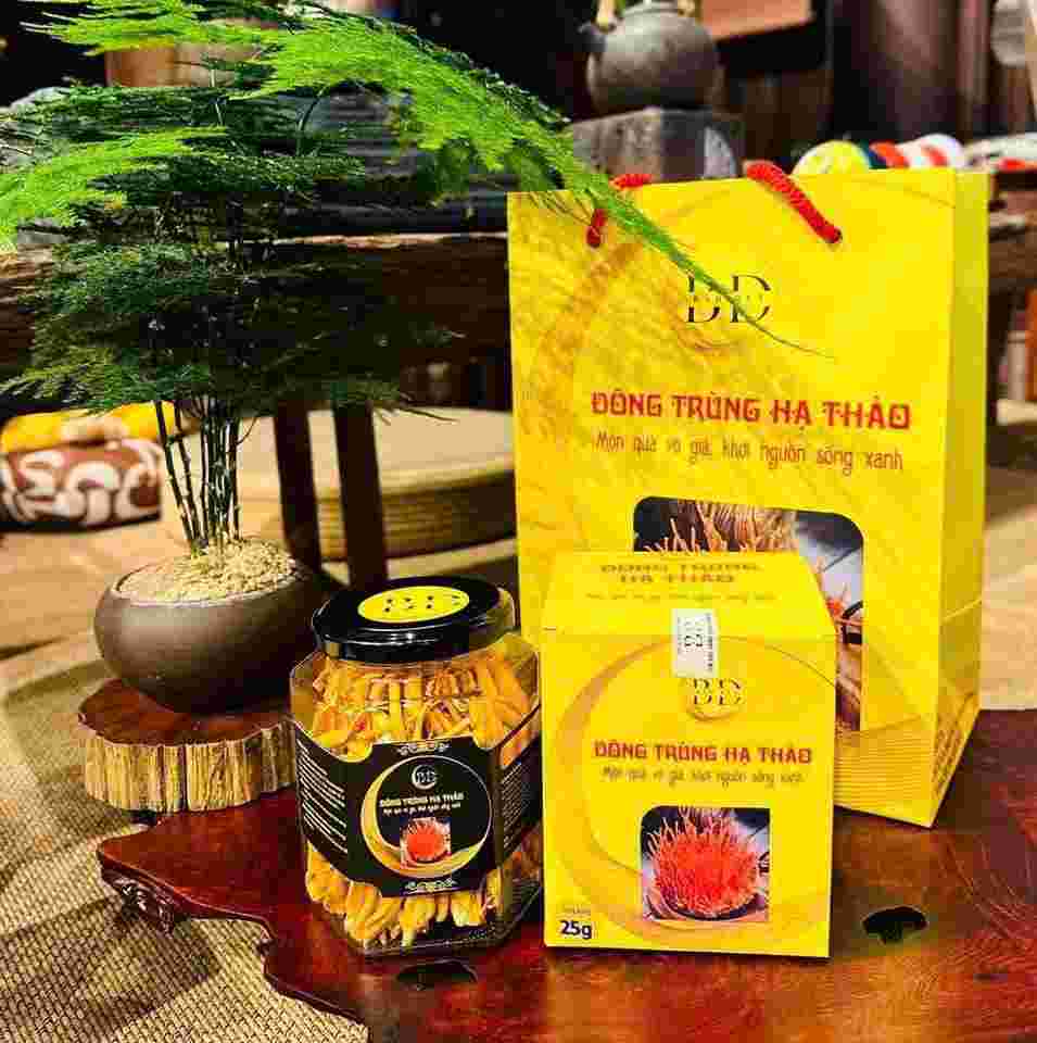 đông trùng hạ thảo